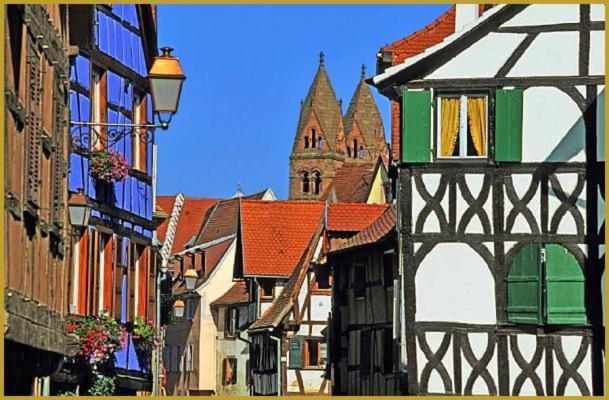Au Bon Vieux Port Maison De Vacances Alsacienne A 10Mn De Ribeauville, Riquewihr Et Kaysersberg Sélestat Exterior foto